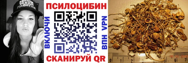 Галлюциногенные грибы Cubensis  Купить закладки  Завитинск 